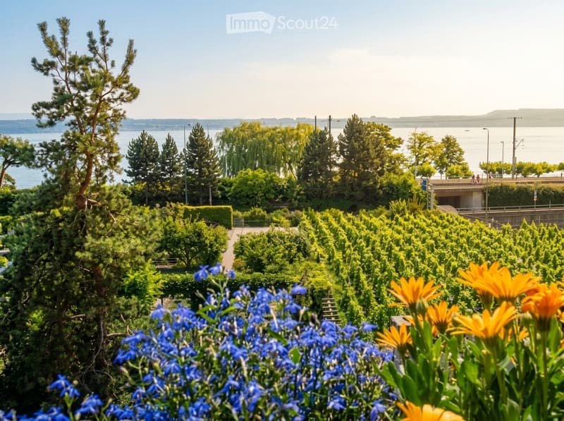 Garden area with neatly arranged trees and shrubs, vibrant blue and yellow flowers in the foreground, and a scenic view of a body of water and distant hills.