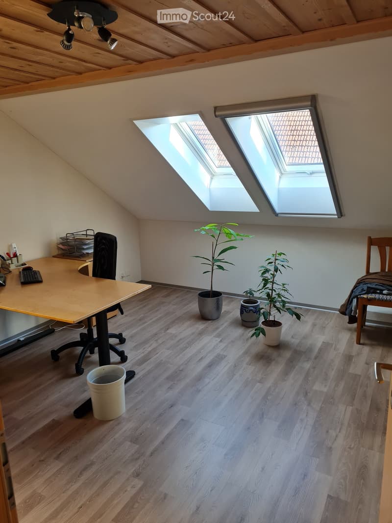 Bright attic room with wooden floors, slanted ceiling, skylights, desk, chair, potted plants, and trash can.
