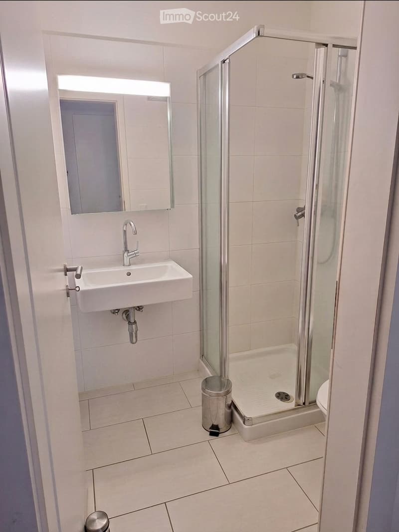 Modern bathroom with white tiles, a sink with a modern faucet, a large mirror, a glass-enclosed shower, and a small trash can.