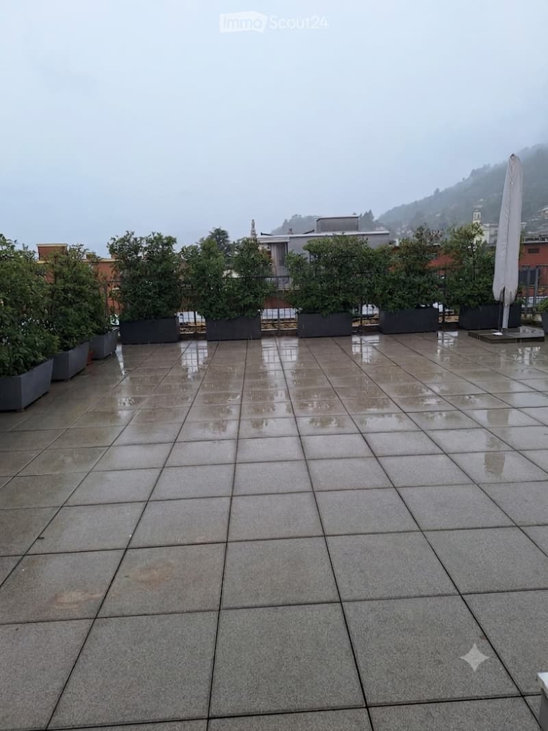 Roof terrace with wet tiled floor, potted plants, and a closed umbrella stand, overlooking a cityscape with buildings and hills.