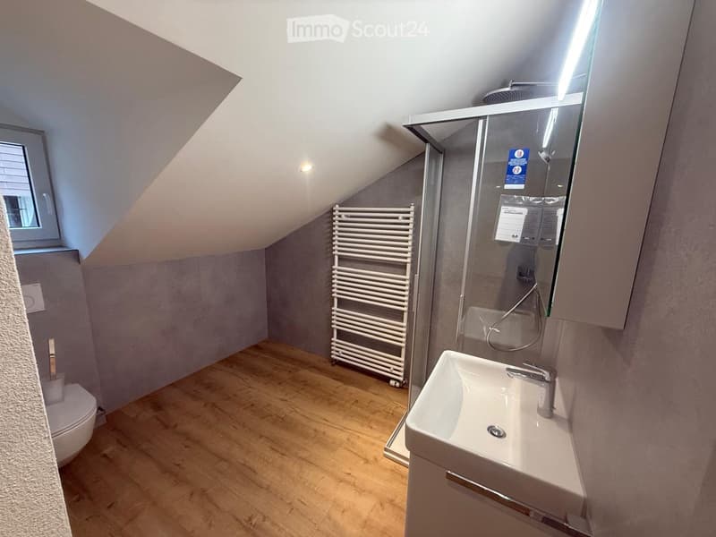 white sink, white toilet, shower, white radiator, wooden floor