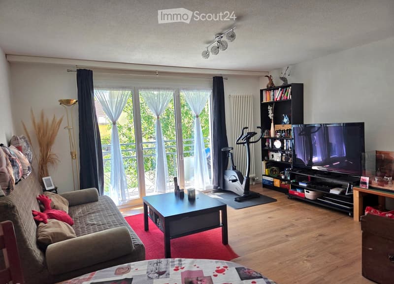 Living room with wooden flooring, large windows with curtains, sofa with pillows, coffee table, bookshelf, TV, exercise bike, and a table lamp.