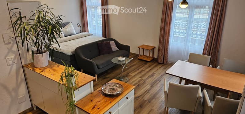 A cozy room with a bed, a couch, a table, and a dining table with chairs. There are two potted plants on the wooden cabinets. The room has a wooden floor and white walls. There are two windows with curtains and a lamp on the wall.