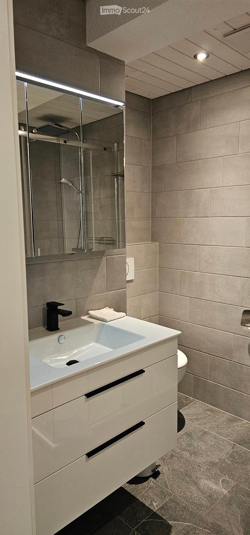 Modern bathroom with a white sink, black faucet, large mirror, and a glass-enclosed shower area.
