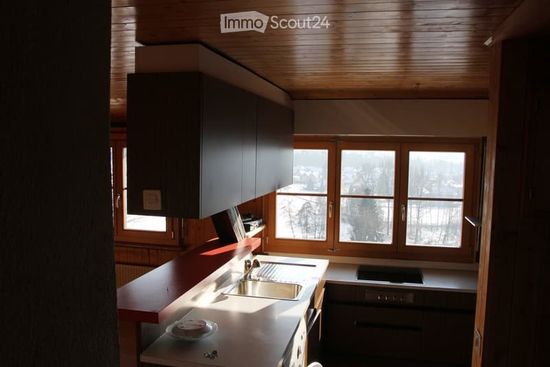 Modern kitchen with wooden ceiling, large windows overlooking a snowy landscape, stainless steel sink, dark cabinets, and built-in appliances.