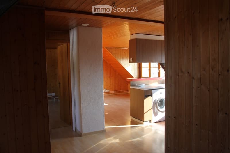 Bright, wooden-floored room with a washing machine and cabinets, featuring wooden walls and a slanted ceiling.