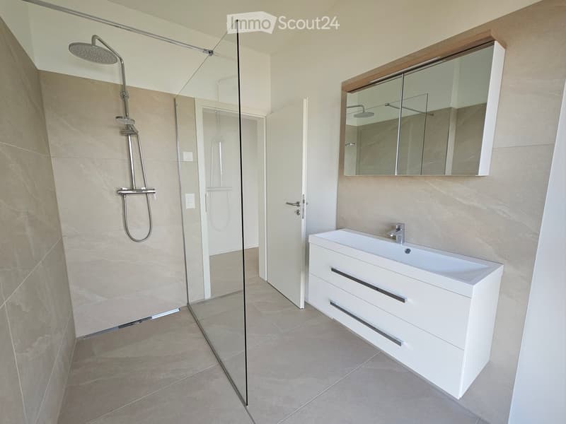 Modern bathroom with a white vanity, large mirror, and glass-enclosed shower area.