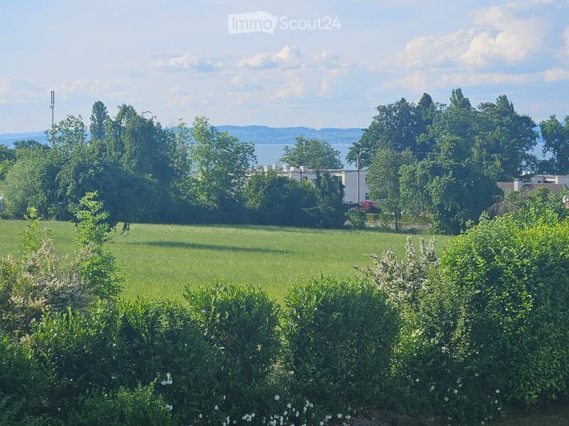 A well-maintained garden with a lush green lawn, surrounded by bushes and trees, with a view of a body of water and distant hills in the background.