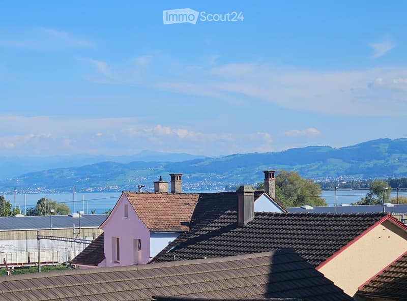 Roof tops of houses with chimneys, surrounded by a scenic landscape with a lake and distant mountains.