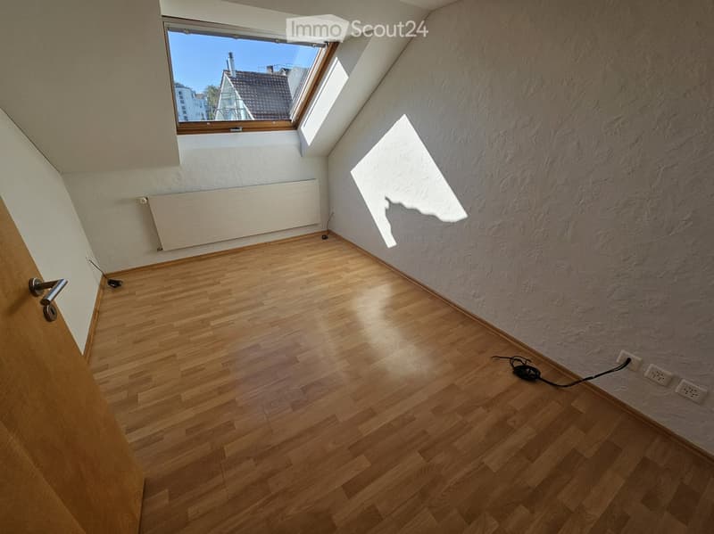 Empty attic room with wooden flooring, white walls, and a skylight window letting in natural light.