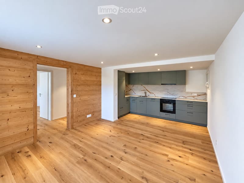 Modern, unfurnished living space with wooden flooring, grey kitchen cabinets, marble backsplash, and built-in oven.