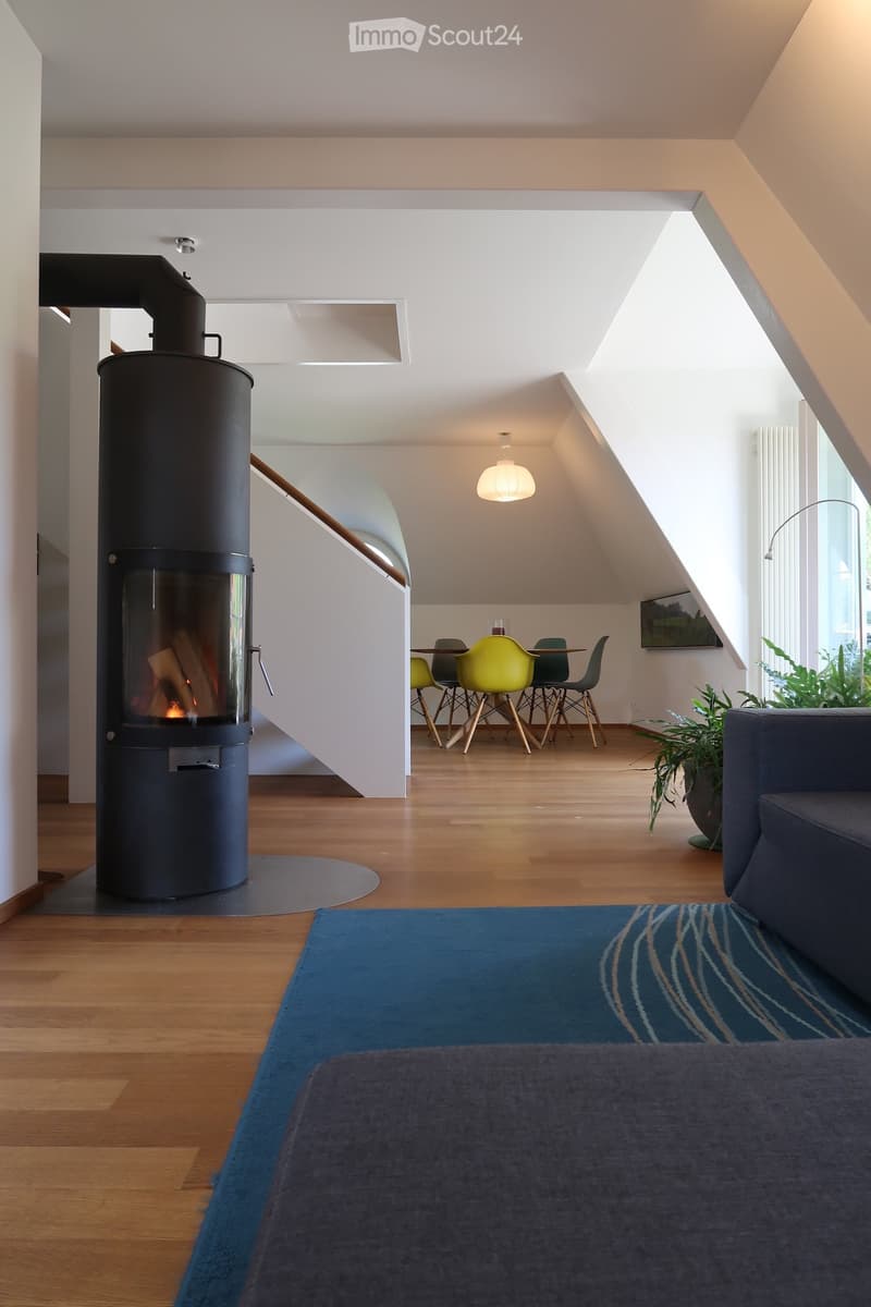 Modern living room with a fireplace, sofa, dining area with chairs and table, and a plant in the corner.
