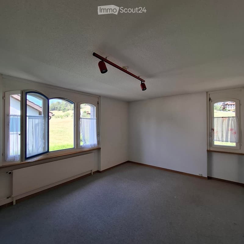 Empty room with carpeted floor, white walls, large windows with curtains, radiators, and a ceiling light fixture.