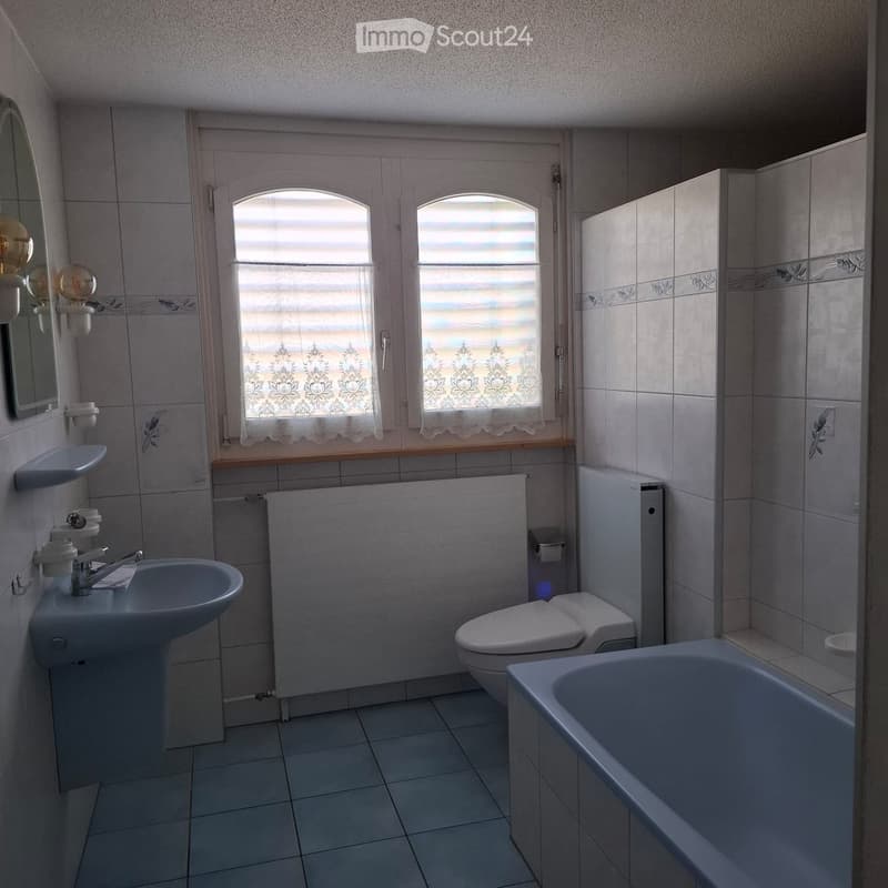 Bathroom with a sink, toilet, bathtub, mirror, and radiator. Windows with blinds and curtains provide natural light.