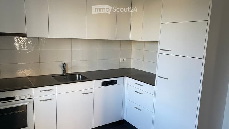 Modern kitchen with white cabinets, black countertops, stainless steel sink, oven, and dishwasher.