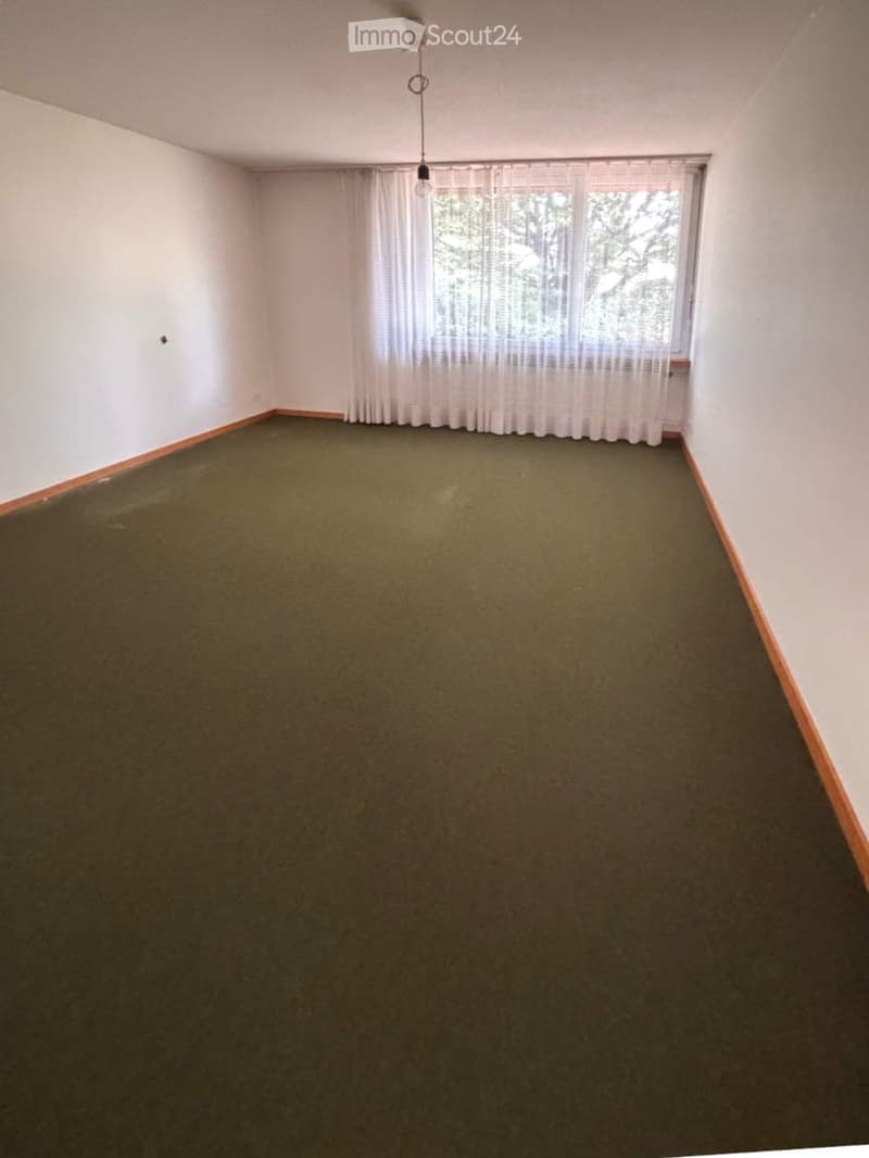 Empty room with white walls, green carpet, and large window with white curtains. No furniture or equipment present.