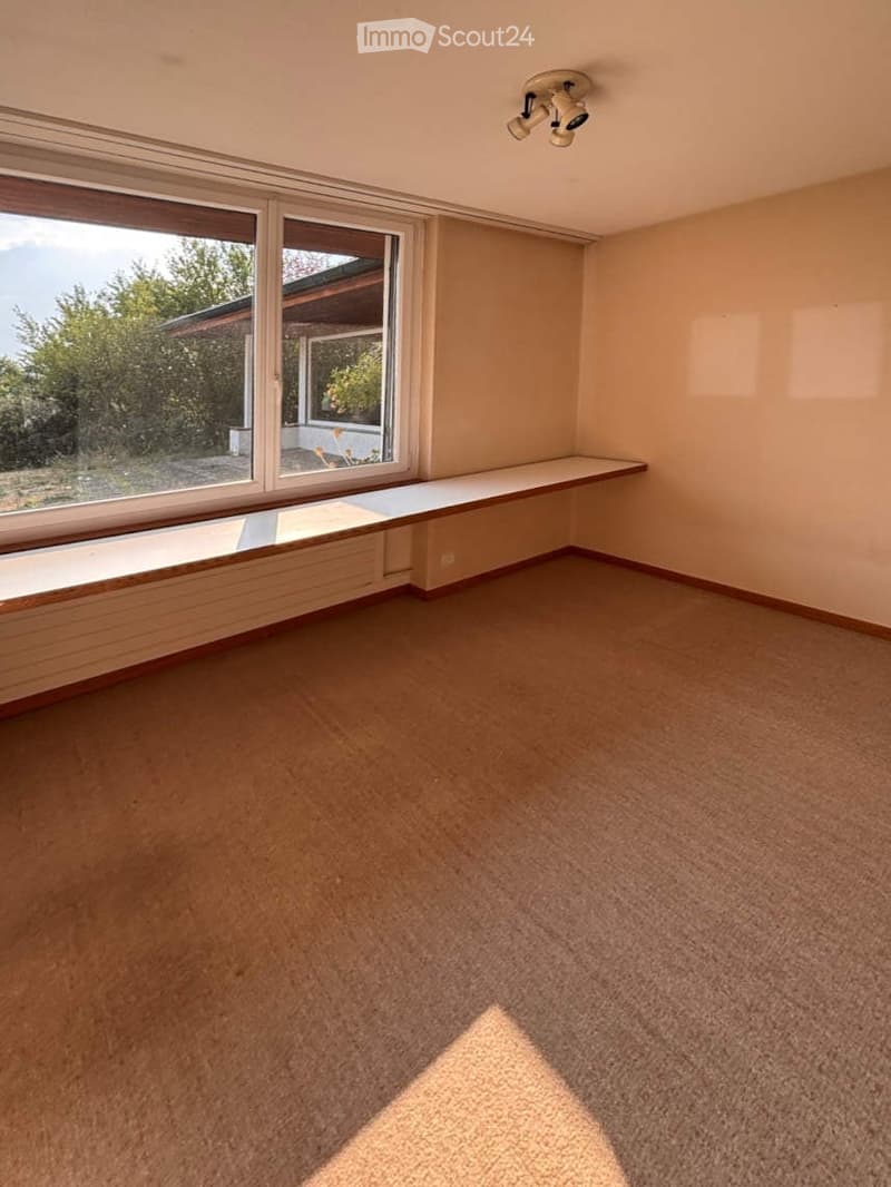 Empty room with carpeted floor, large windows, and built-in bench along one wall.