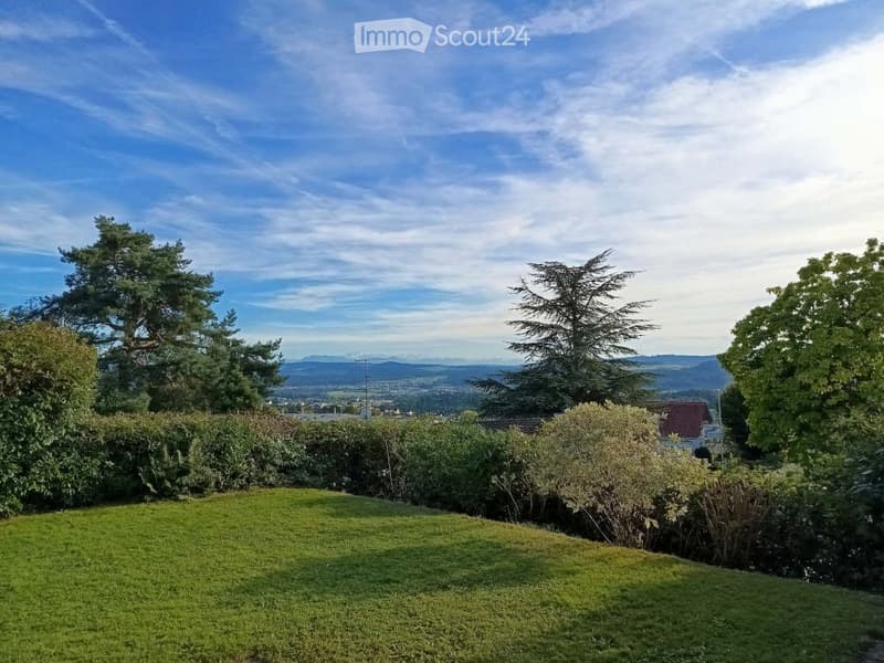 Lush green garden with a well-maintained lawn, surrounded by trees and shrubs, offering a scenic view of distant mountains and a clear blue sky.