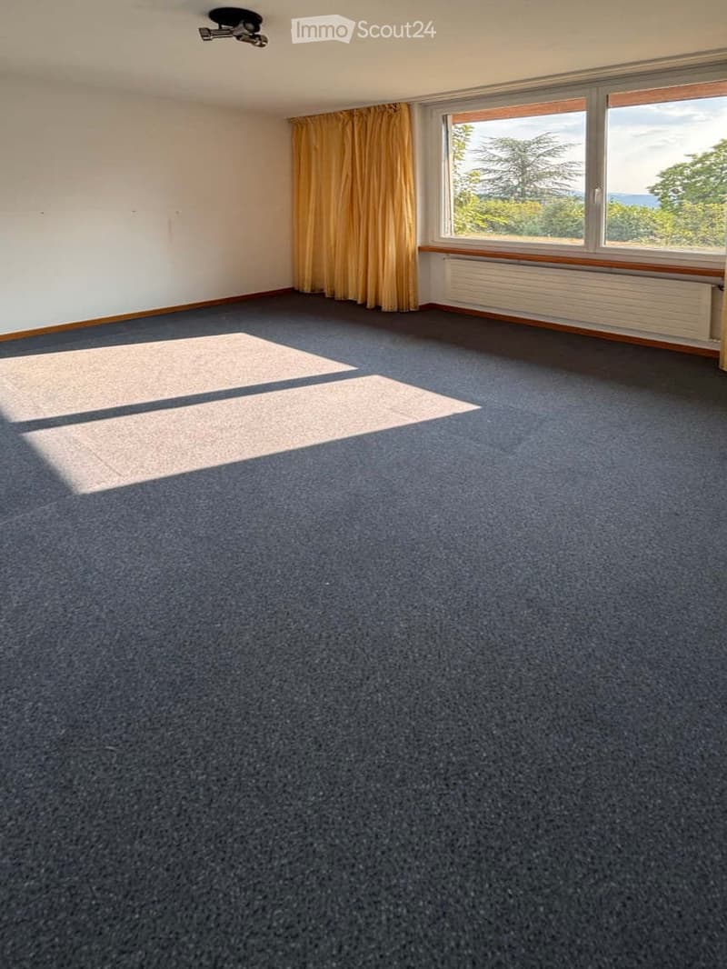 Empty room with blue carpet, white walls, large windows with yellow curtains, radiator, and ceiling light fixture.
