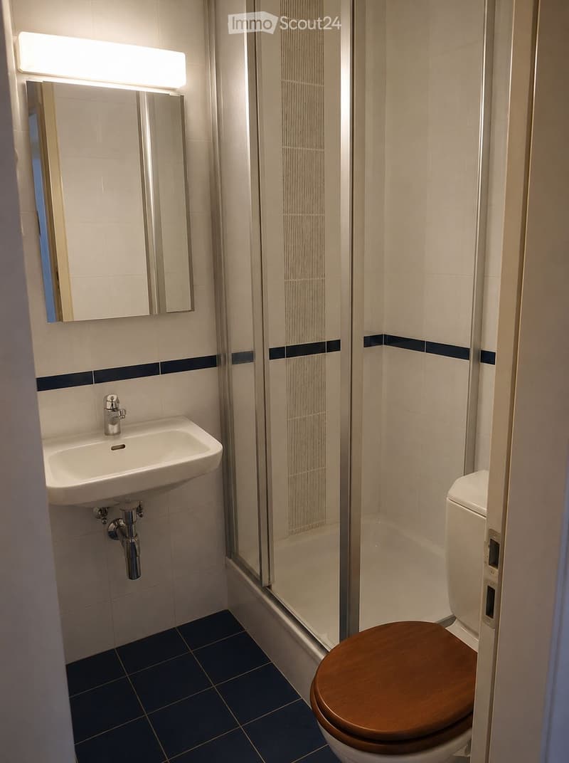 Modern bathroom with a white sink, chrome faucet, mirror, wooden toilet seat, and a glass-enclosed shower area.