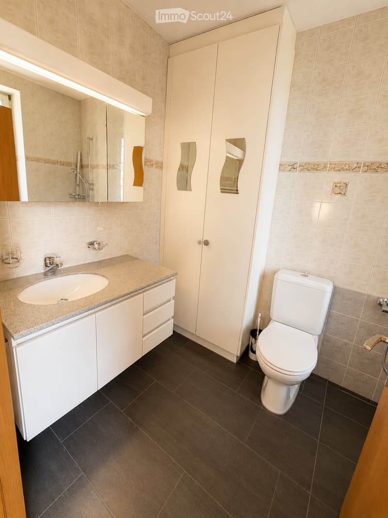 Modern bathroom with a white sink, granite countertop, white toilet, built-in white cabinets, and a large mirror above the sink.