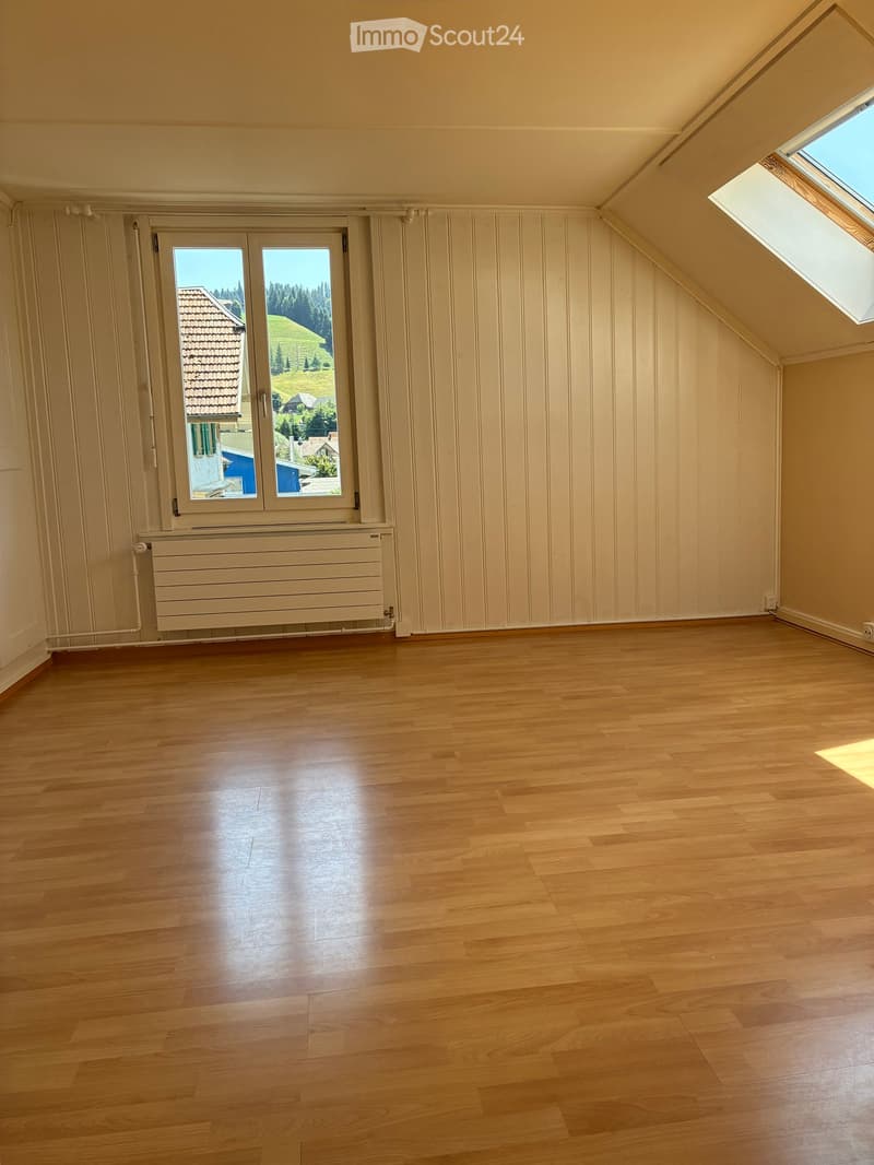 Empty attic room with wooden flooring, white walls, a large window, and a skylight. The room has a radiator and a view of a green landscape.