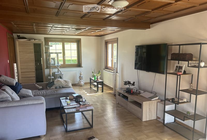 Modern living room with wooden flooring, grey sofa, coffee table, TV, shelves, and cat tree.