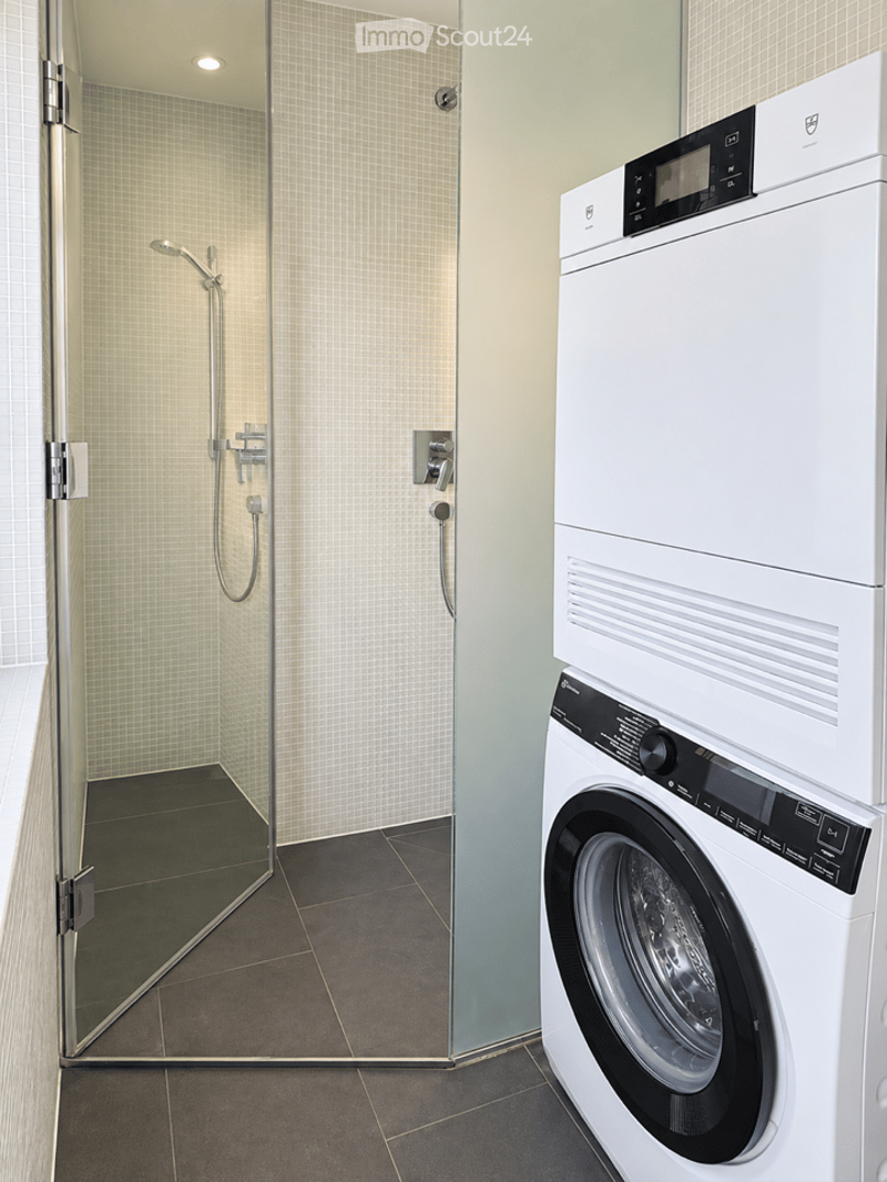 Modern bathroom with a glass-enclosed shower and a private washing machine and dryer unit.