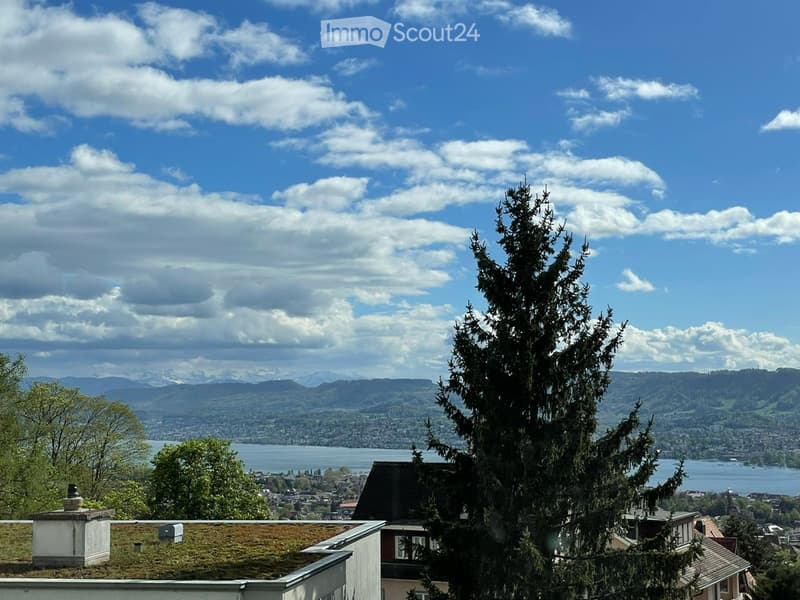 View from a rooftop showing a cityscape, lake, and mountains under a partly cloudy sky.