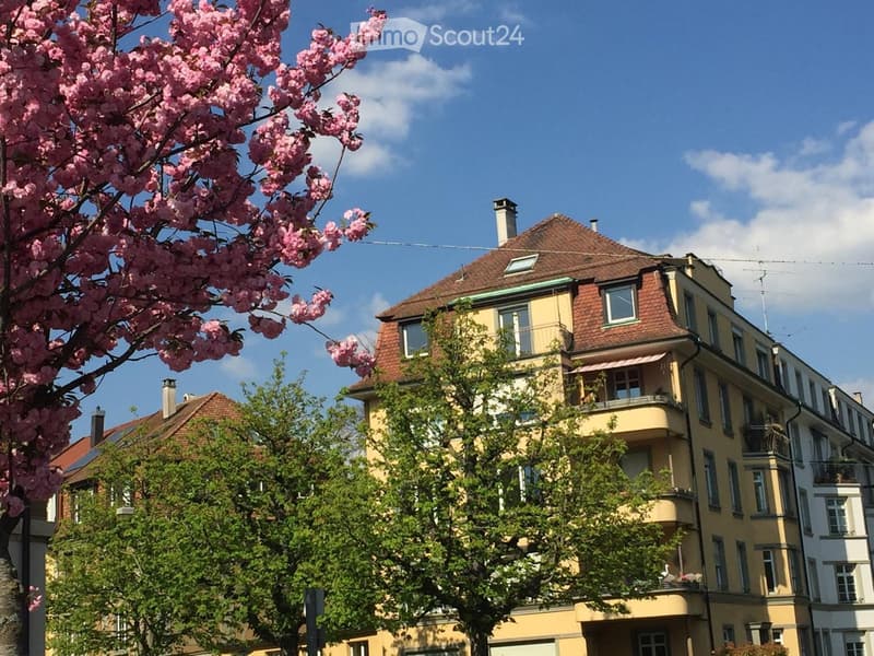 Multi-story residential building with yellow facade, red-tiled roof, multiple windows, and balconies. Pink flowering tree in foreground.