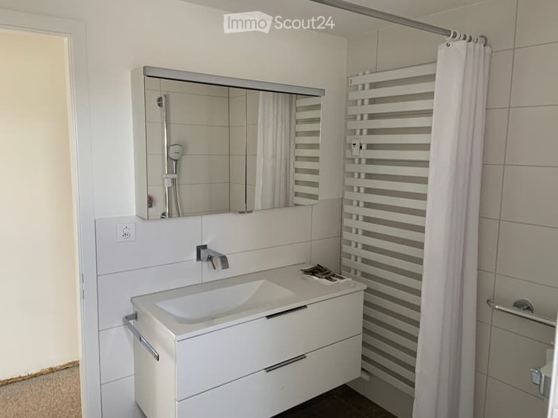 Modern bathroom with a white sink, mirror, radiator, and shower curtain.