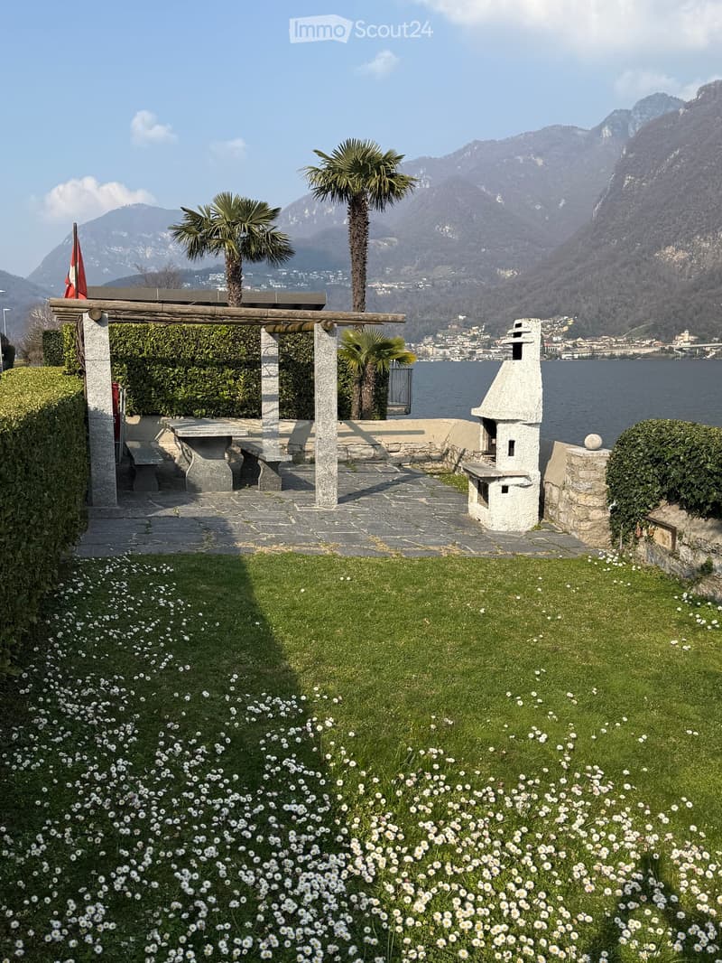 Garden with a stone patio, outdoor dining area, stone barbecue, palm trees, and a scenic lake view with mountains in the background.