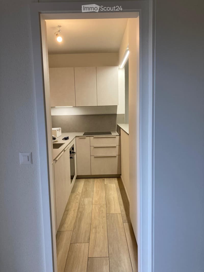 Modern kitchen with light wood cabinets, stainless steel appliances, and a sleek countertop.