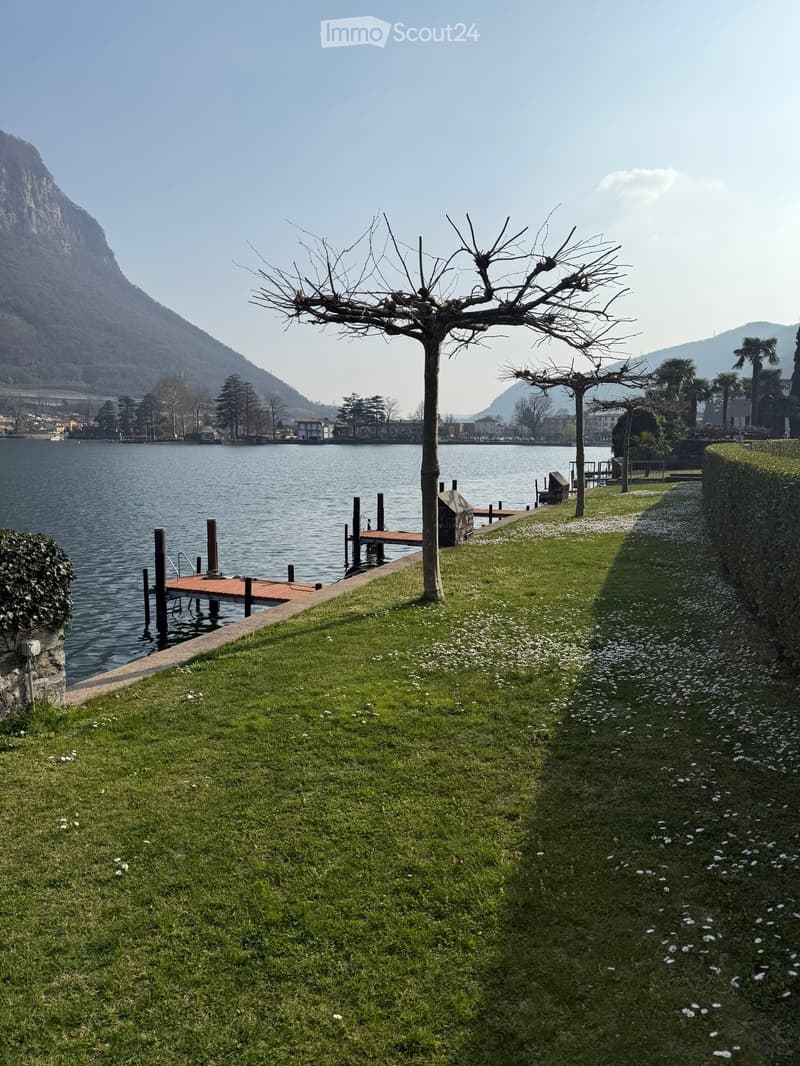 Lush green lawn with scattered white flowers, a wooden dock extending into a calm lake, and distant mountains in the background.