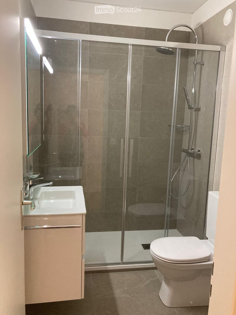 Modern bathroom with a glass-enclosed shower, a white toilet, a sink with a modern faucet, and a sleek cabinet.