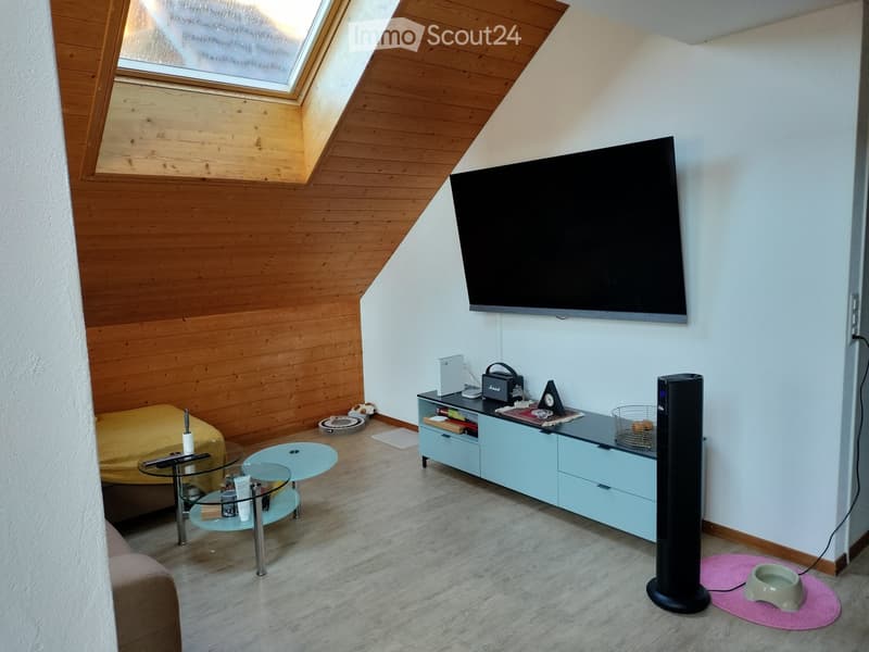 Modern living room with wooden slanted ceiling, large flat-screen TV mounted on wall, light blue sideboard, glass coffee tables, and a pet bowl on a pink mat.