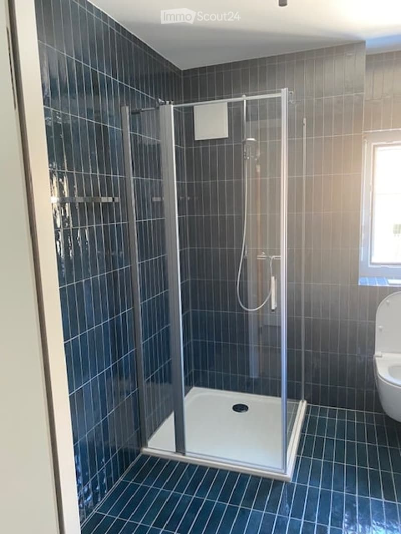 Modern bathroom with dark blue tiles, glass-enclosed shower stall, and a toilet.