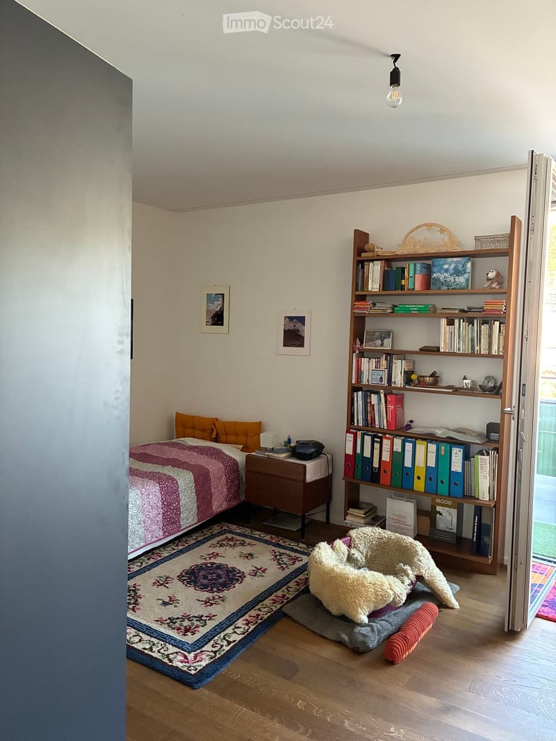 Cozy bedroom with a wooden bed, colorful bedding, a nightstand with a lamp, a bookshelf filled with books and decorative items, and a pet bed on the floor.