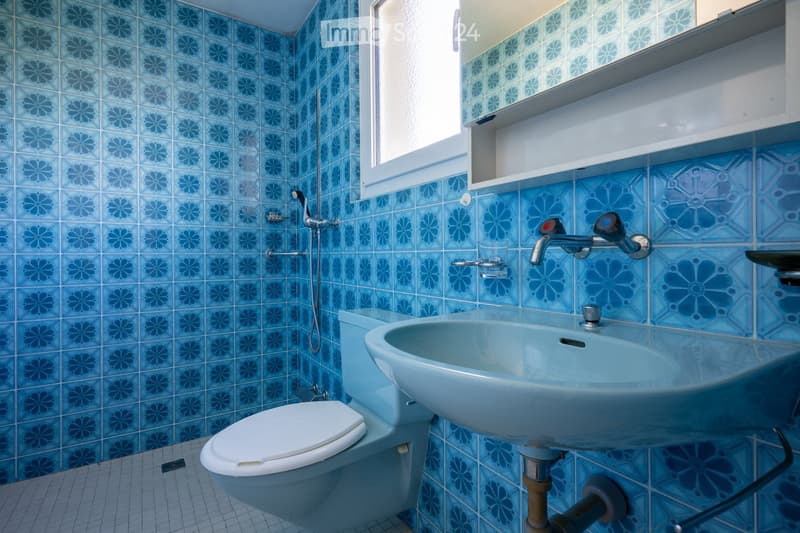 Bathroom with blue floral tiled walls, a white toilet, a light blue sink with a chrome faucet, and a showerhead visible on the wall.