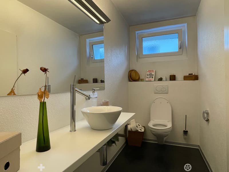 Modern bathroom with a white sink, chrome faucet, toilet, and a vase with dried flowers on the counter. Shelves hold books and decorative items.