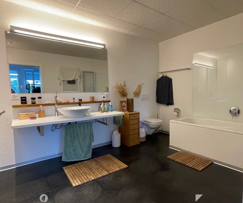 Modern bathroom with a double sink, large mirror, bathtub, toilet, and various bathroom accessories. Features include a wooden cabinet, decorative vases, and a coat hanging on the wall.