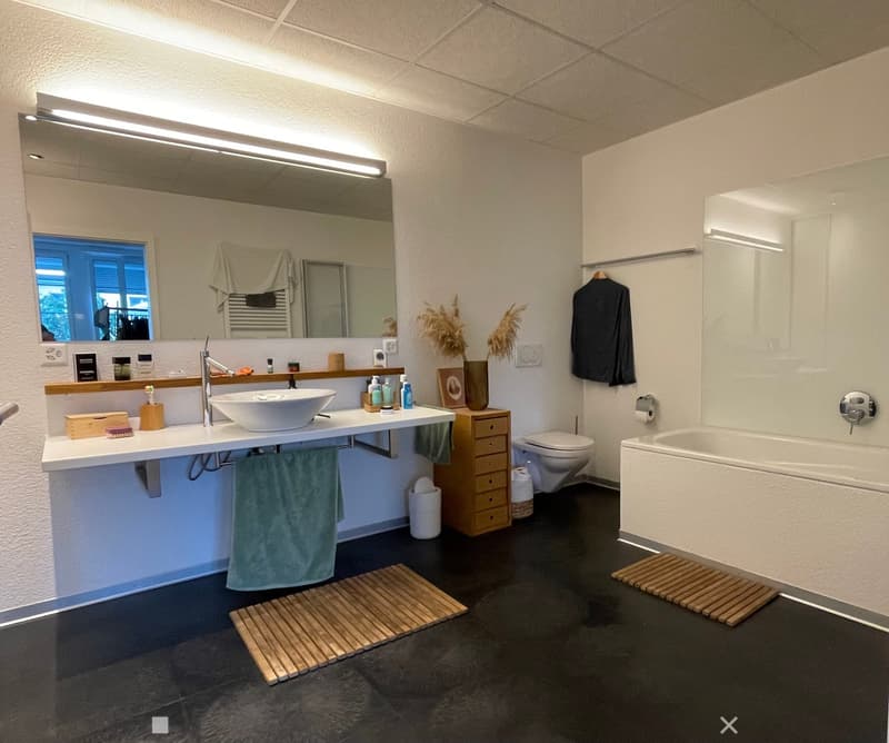 Modern bathroom with a double sink, large mirror, bathtub, toilet, and various bathroom accessories. Features include a wooden cabinet, decorative vases, and a coat hanging on the wall.