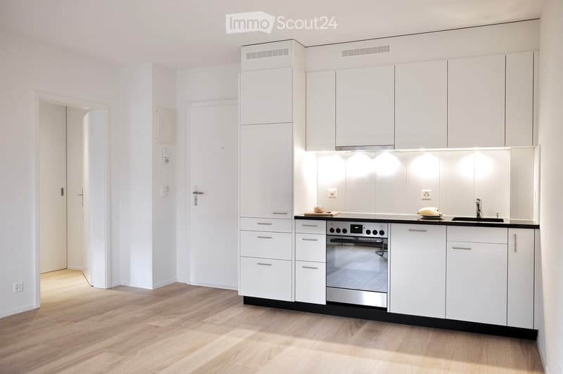 Modern kitchen with white cabinets, stainless steel oven, sink, and countertop. Wooden flooring and bright lighting.