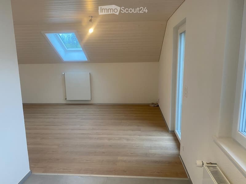 Empty room with wooden flooring, white walls, and a skylight window. Features a radiator on one wall and a small window on the adjacent wall.