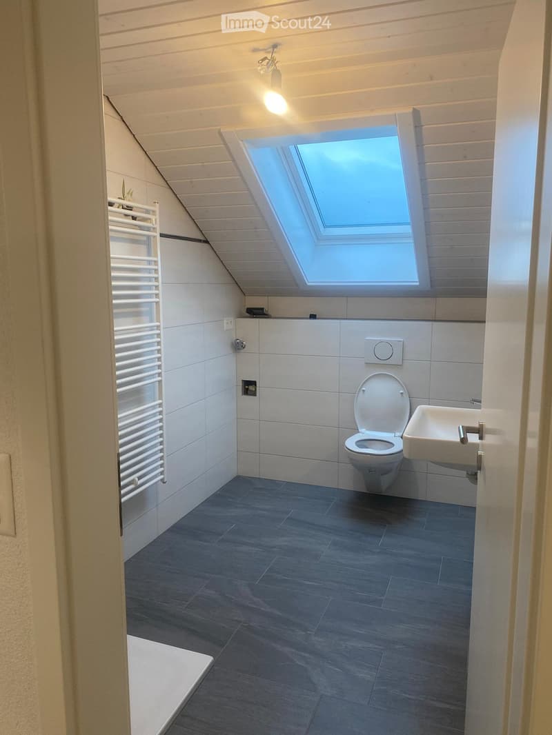 Modern bathroom with a skylight window, toilet, sink, radiator, and grey tiled floor.