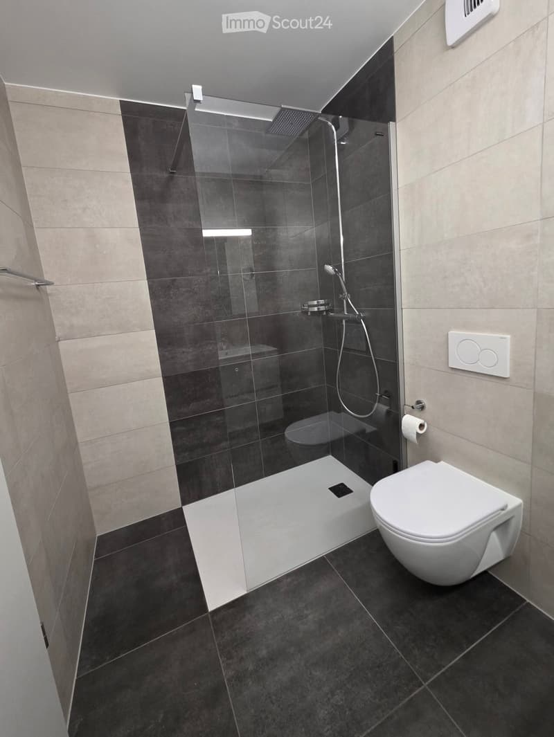 Modern bathroom with dark tiled walls and floor, white toilet, glass-enclosed shower with a handheld showerhead, and a toilet paper holder.