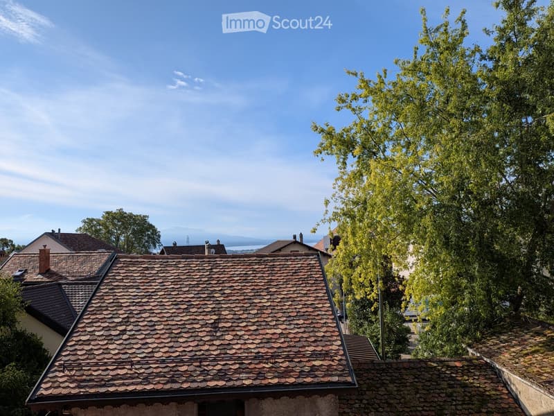 Roof of a building with a tiled roof, surrounded by trees and other rooftops under a clear blue sky.