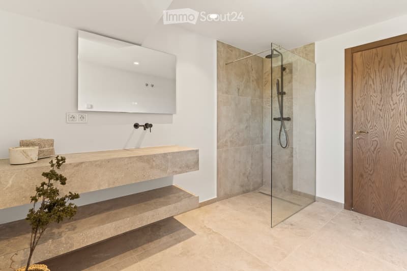 Modern bathroom with a large sink, mirror, glass-enclosed shower, and decorative plant on the sink counter.