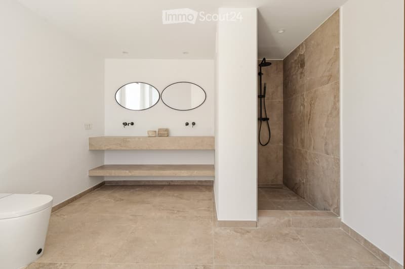 Modern bathroom with a white toilet, a stone sink with two oval mirrors, a shower area with a handheld showerhead, and built-in stone shelves.