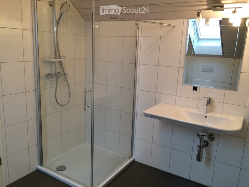 Modern bathroom with a glass-enclosed shower, a white sink, and a large mirror above it. The walls are tiled in light beige, and the floor is dark grey.